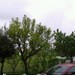 Borgo San Dalmazzo ore 14:16