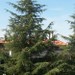 Prato ore 10:46