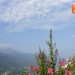Poggiridenti ore 8:27