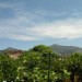 Palermo ore 12:00