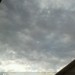 Padova ore 7:50