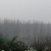 Rosignano Monferrato ore 10:03