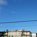 Genova ore 8:40