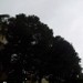 Perugia ore 13:53