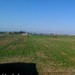 Vedelago ore 15:24