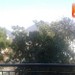 Lecco ore 14:18