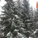 Sauze d'Oulx ore 13:35