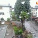 Cant� ore 12:51