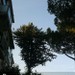 Roma ore 15:50