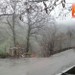 Sant'Alessio in Aspromonte ore 10:52