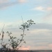 Ancona ore 20:11