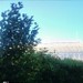Firenze ore 8:42
