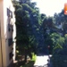 Firenze ore 12:26