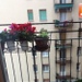 Bologna ore 16:48
