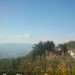 San Pietro in Guarano ore 13:12