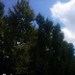 Bologna ore 13:04