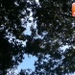 Roma ore 13:42