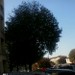 Firenze ore 12:54