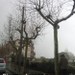 Piazza Armerina ore 9:26