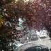 Roma ore 19:28