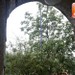 Gallicchio ore 17:26