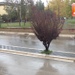 Venosa ore 11:06