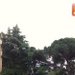 Firenze ore 7:35