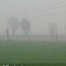 Albairate ore 10:03