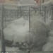 L'Aquila ore 11:56