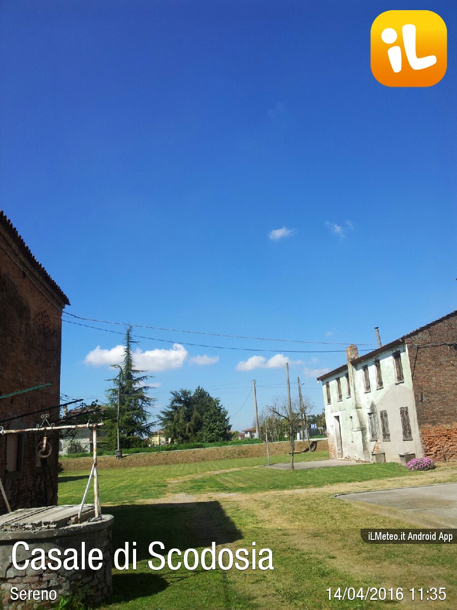 Foto meteo Casale di Scodosia Casale di Scodosia ore 1135 » ILMETEO.it