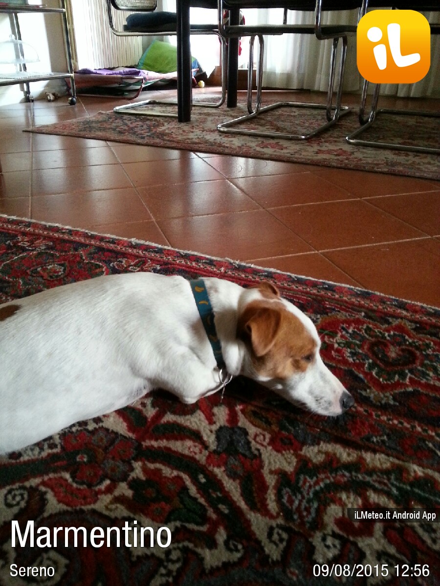 Foto meteo San Zeno Naviglio San Zeno Naviglio ore 1300 » ILMETEO.it