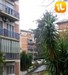 Roma ore 9:49