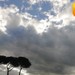 Roma ore 14:28